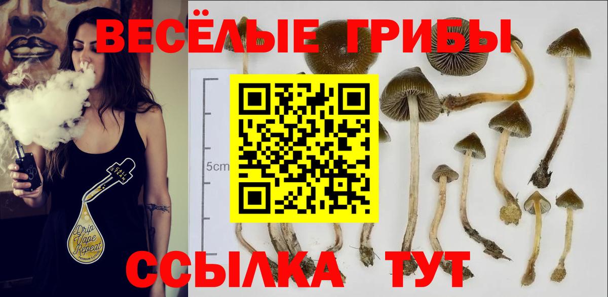 Псилоцибиновые грибы прущие грибы  Вход с VPN  Воскресенск 