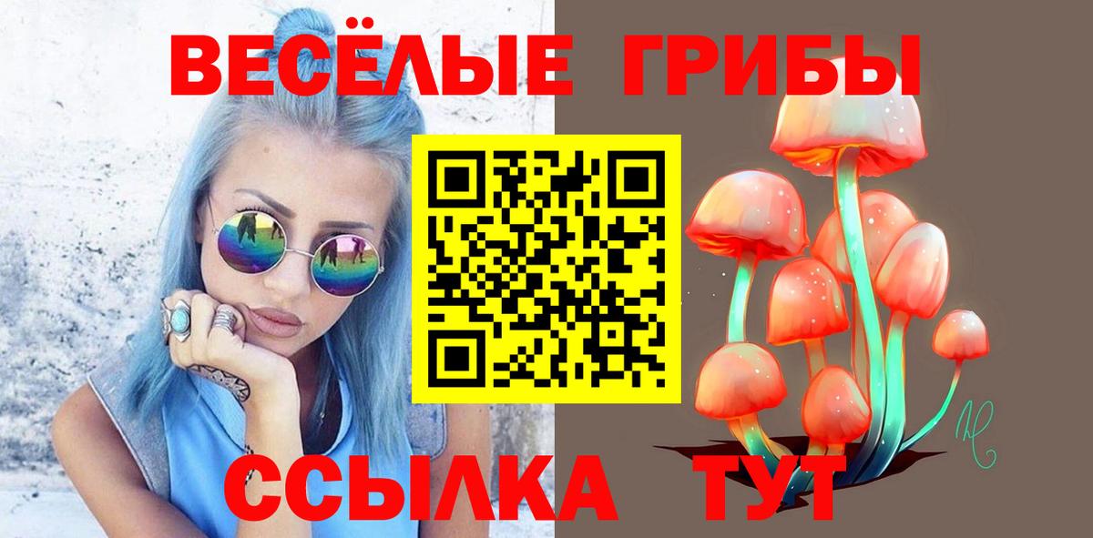 Галлюциногенные грибы Cubensis Воскресенск